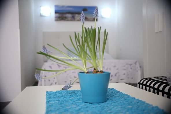 You & Me House Ceglie Messapica Ngoại thất bức ảnh